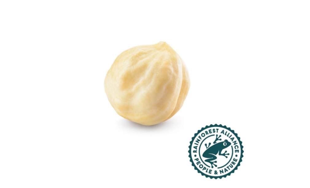 RA Roasted/Blanched Hazelnut Kernels Packaging forms