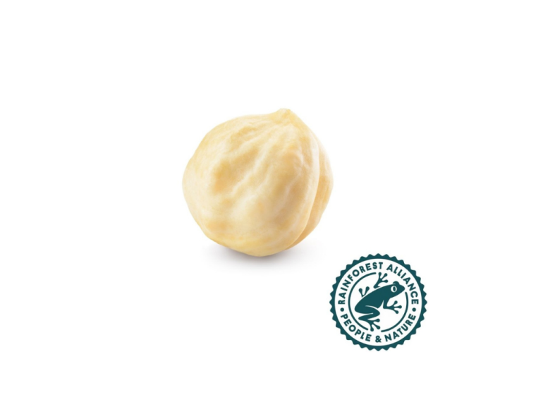 RA Roasted/Blanched Hazelnut Kernels Packaging forms