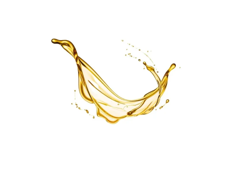 Refined Hazelnut Oil