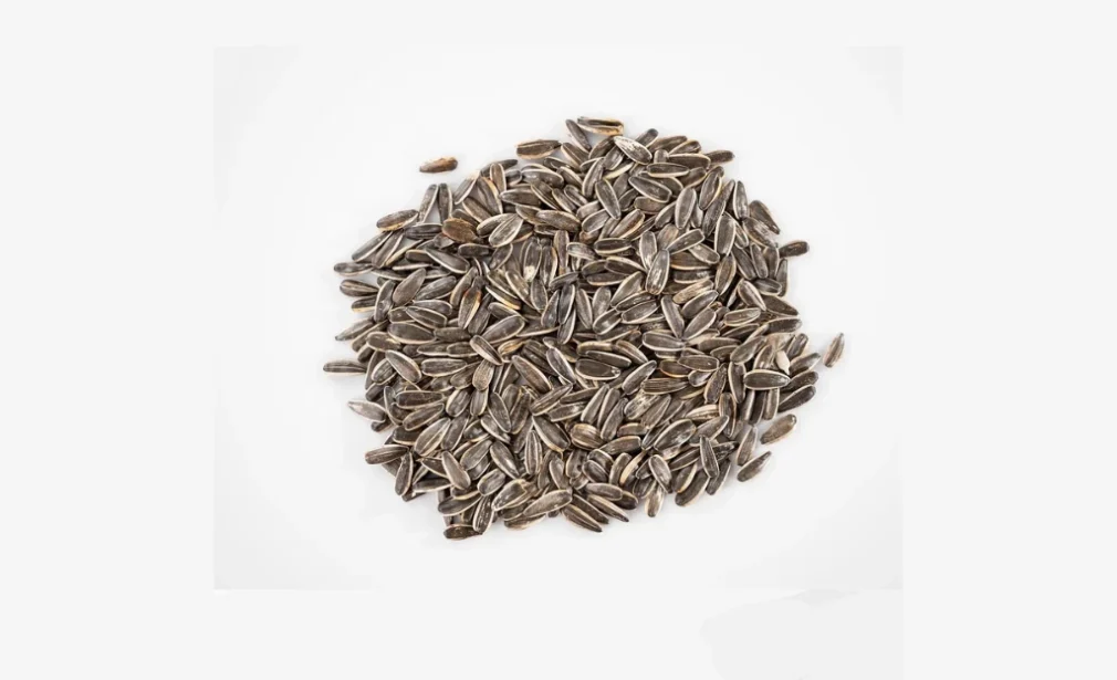 Sunflower seeds