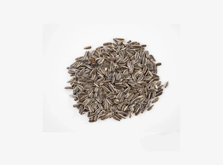 Sunflower seeds