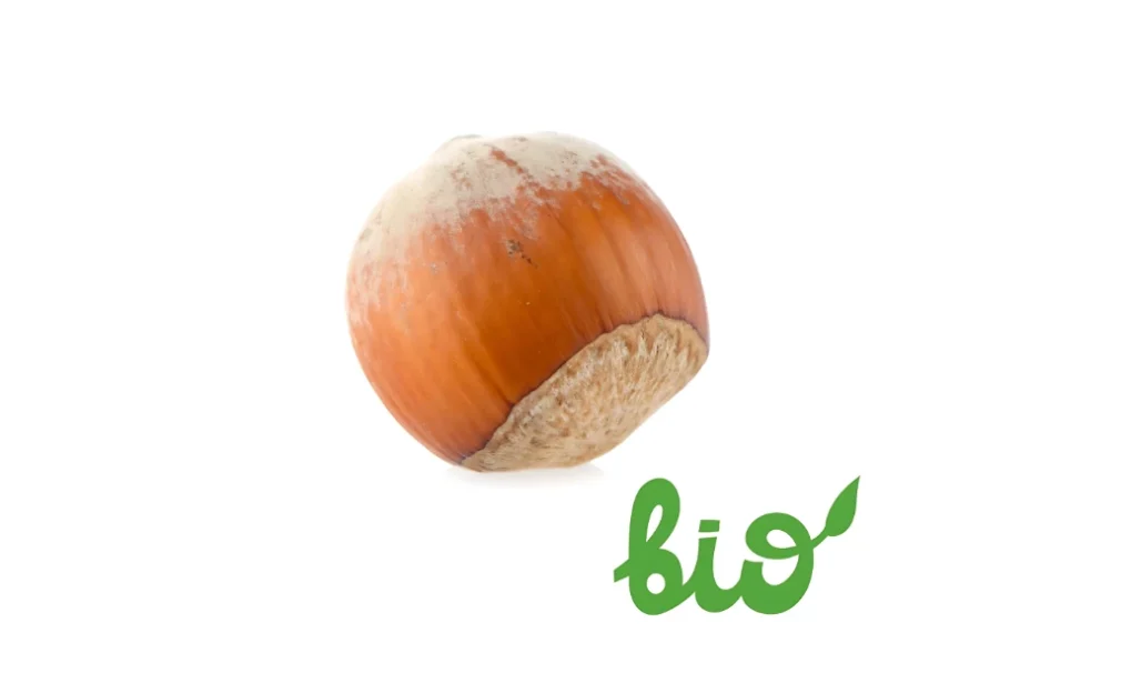Bio Inshell Hazelnut