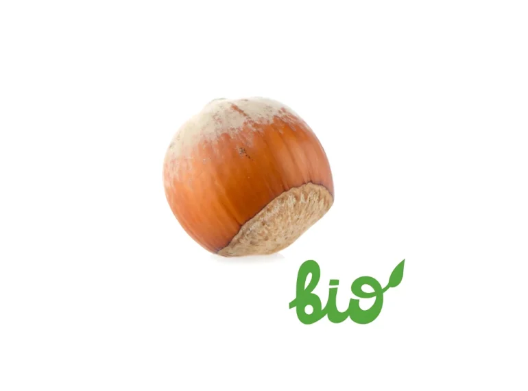 Bio Inshell Hazelnut
