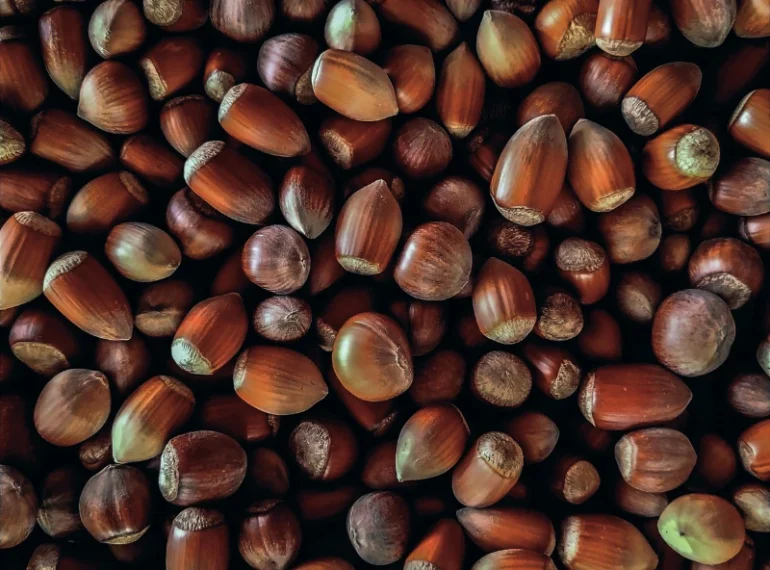 hazelnuts