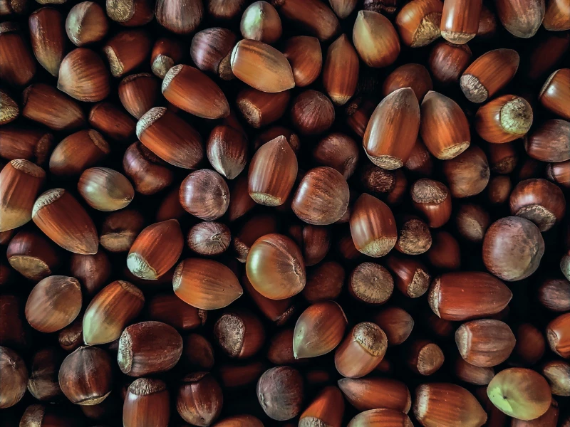 hazelnuts