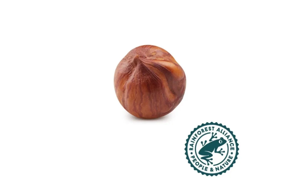 RA Natural Hazelnut Kernels