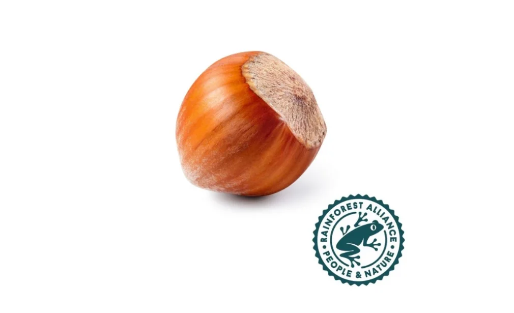 RA Inshell Hazelnut