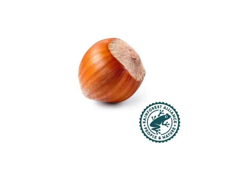 RA Inshell Hazelnut