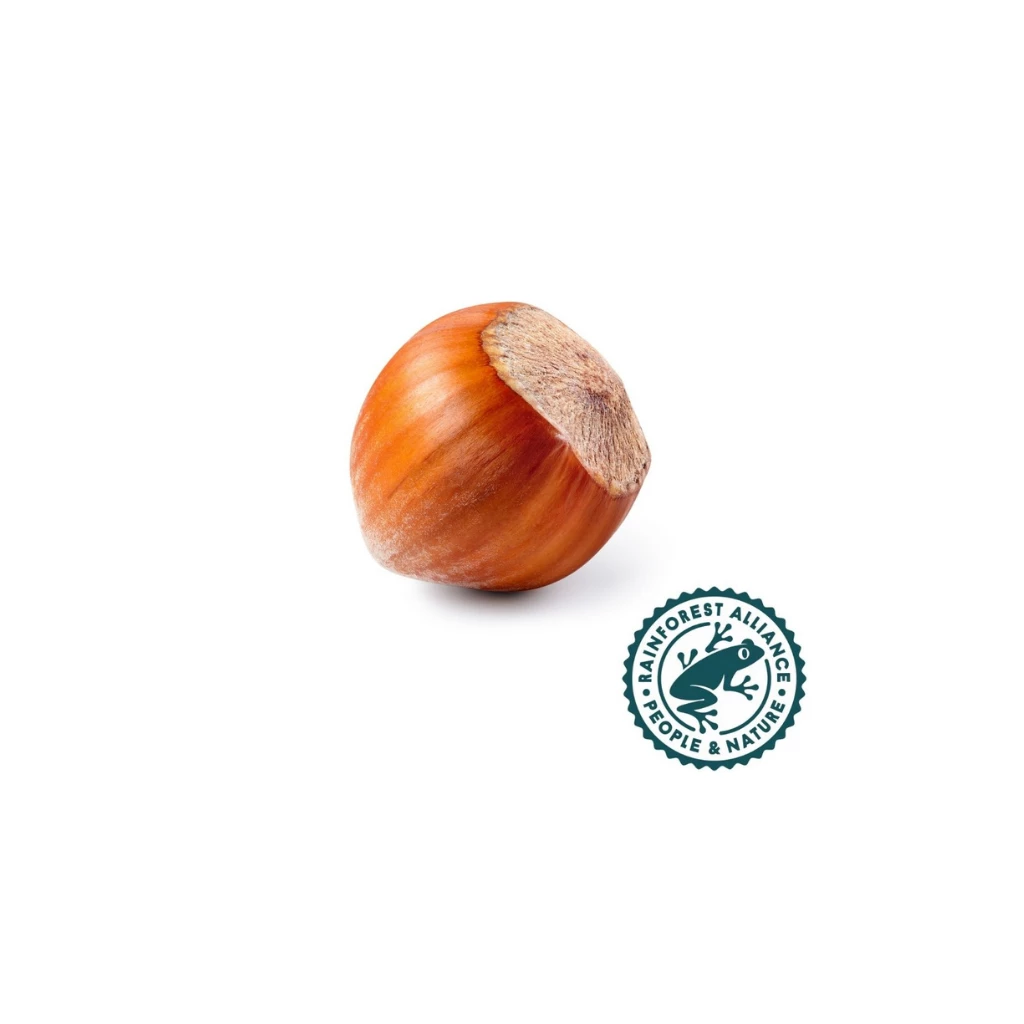 Rainforest Alliance Inshell Hazelnut | Get a Price Quote