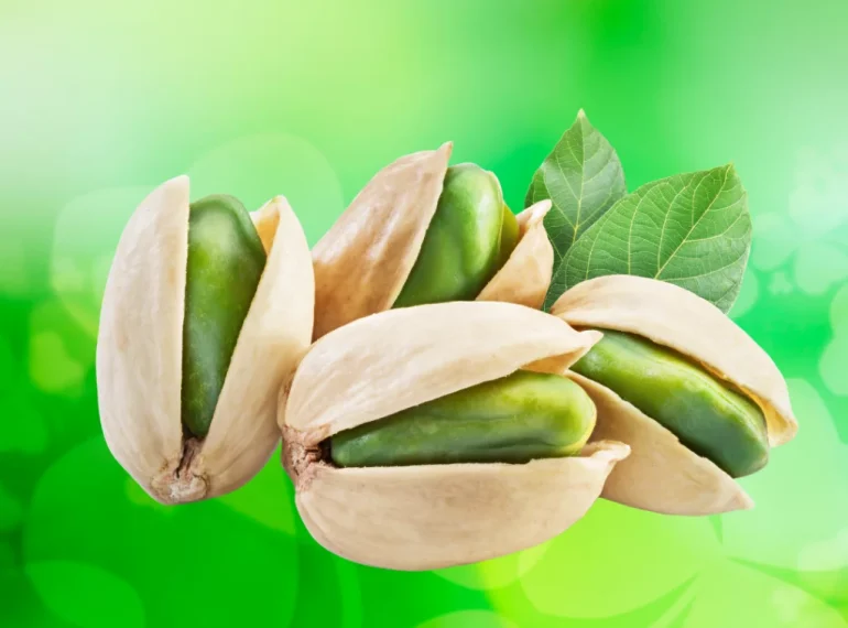 veronocci pistachio